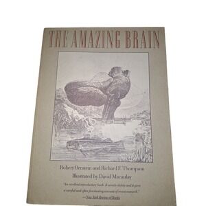 The Amazing Brain Robert Ornstein Richard Thompson David Macaulay 1986 Paperback